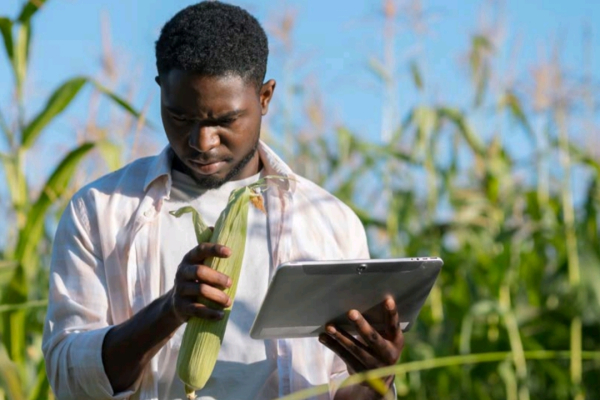 Le future de la sécurité alimentaire mondiale